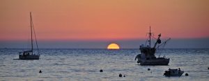 _DSC1940_800x313